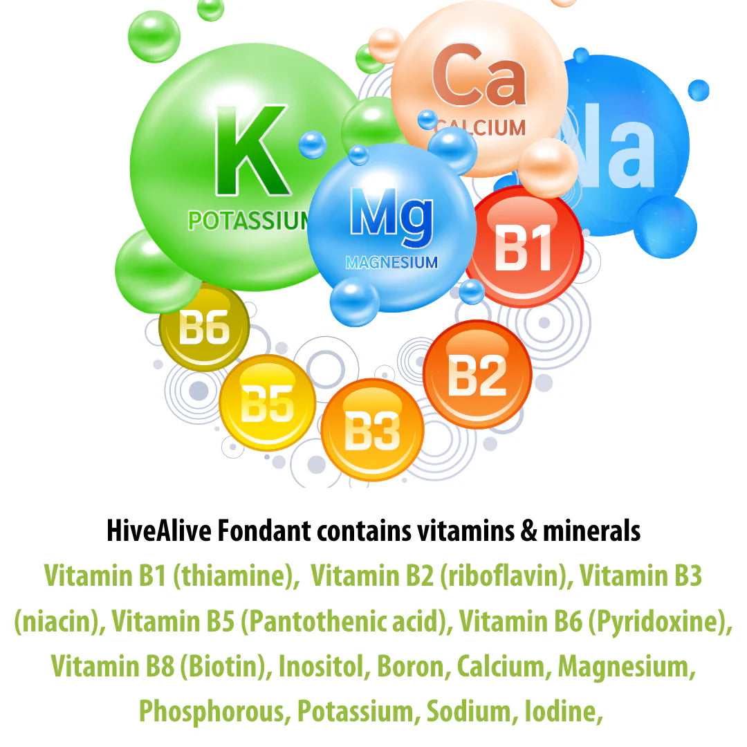 HiveAlive Fondant Patty | 35lbs