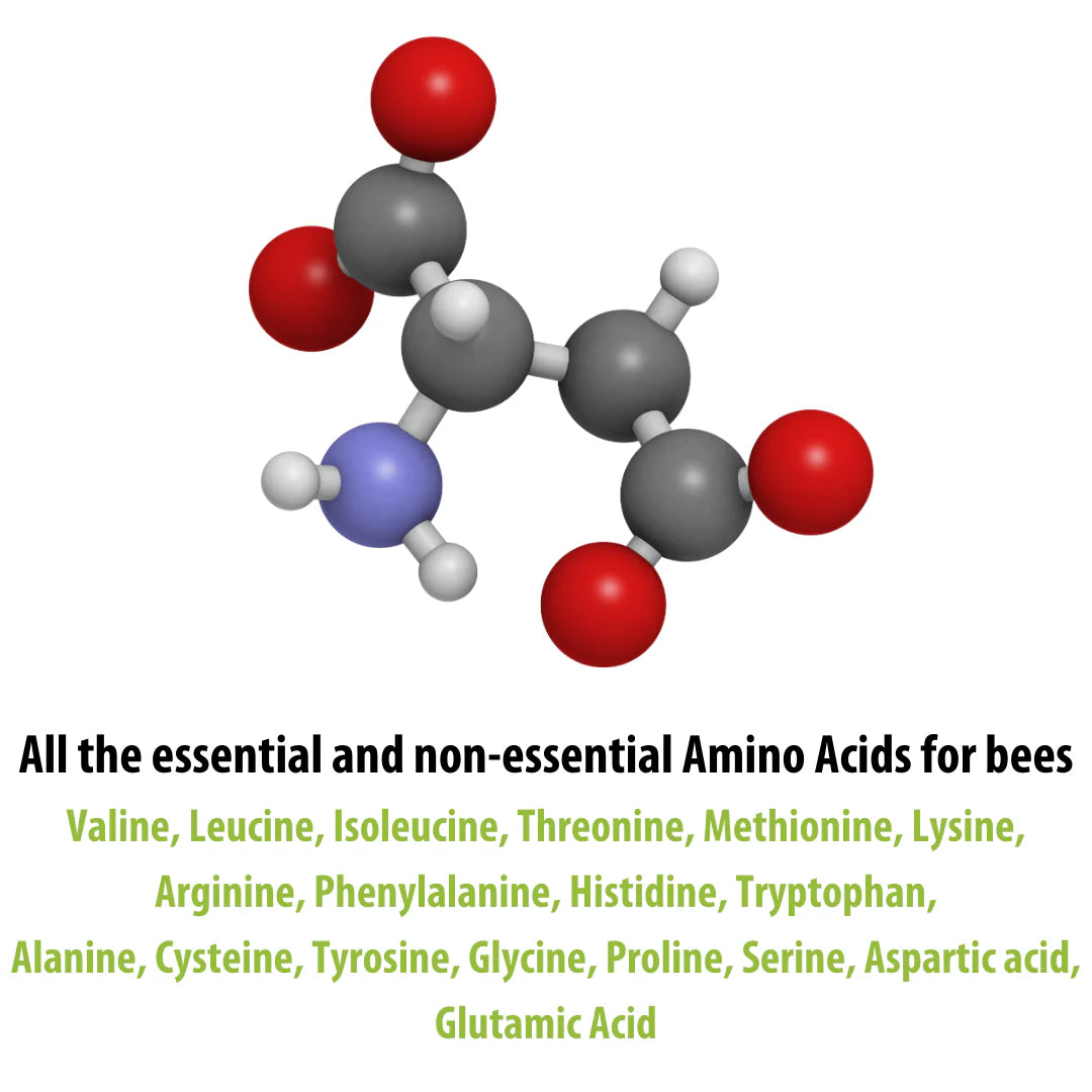 HiveAlive Fondant Patty | 35lbs