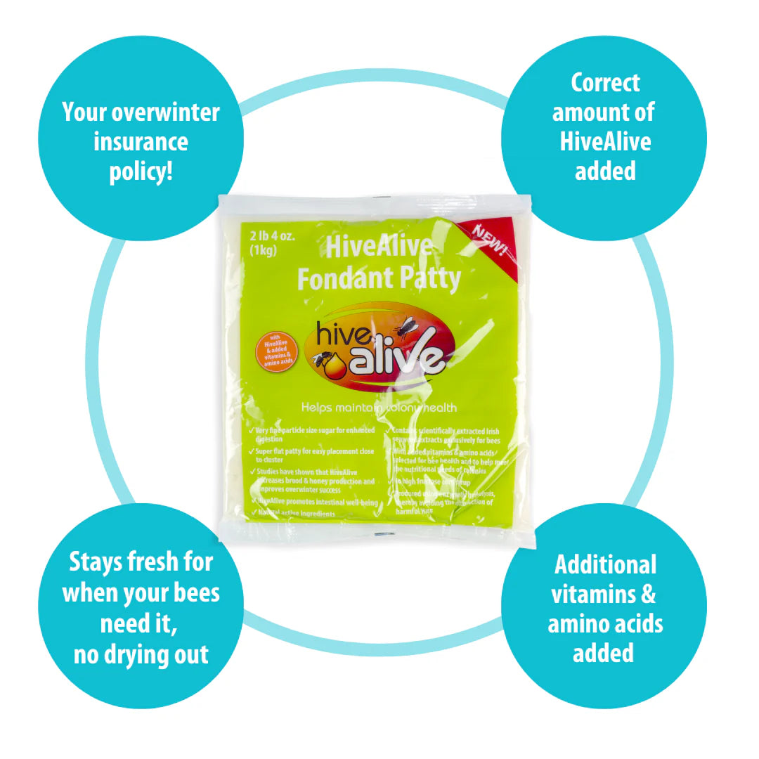 HiveAlive Fondant Patty | 35lbs
