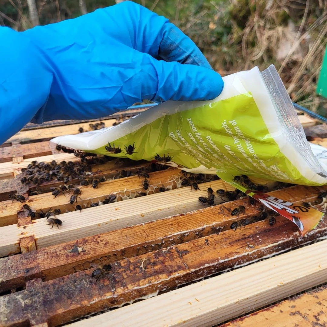 HiveAlive Fondant Patty | 35lbs