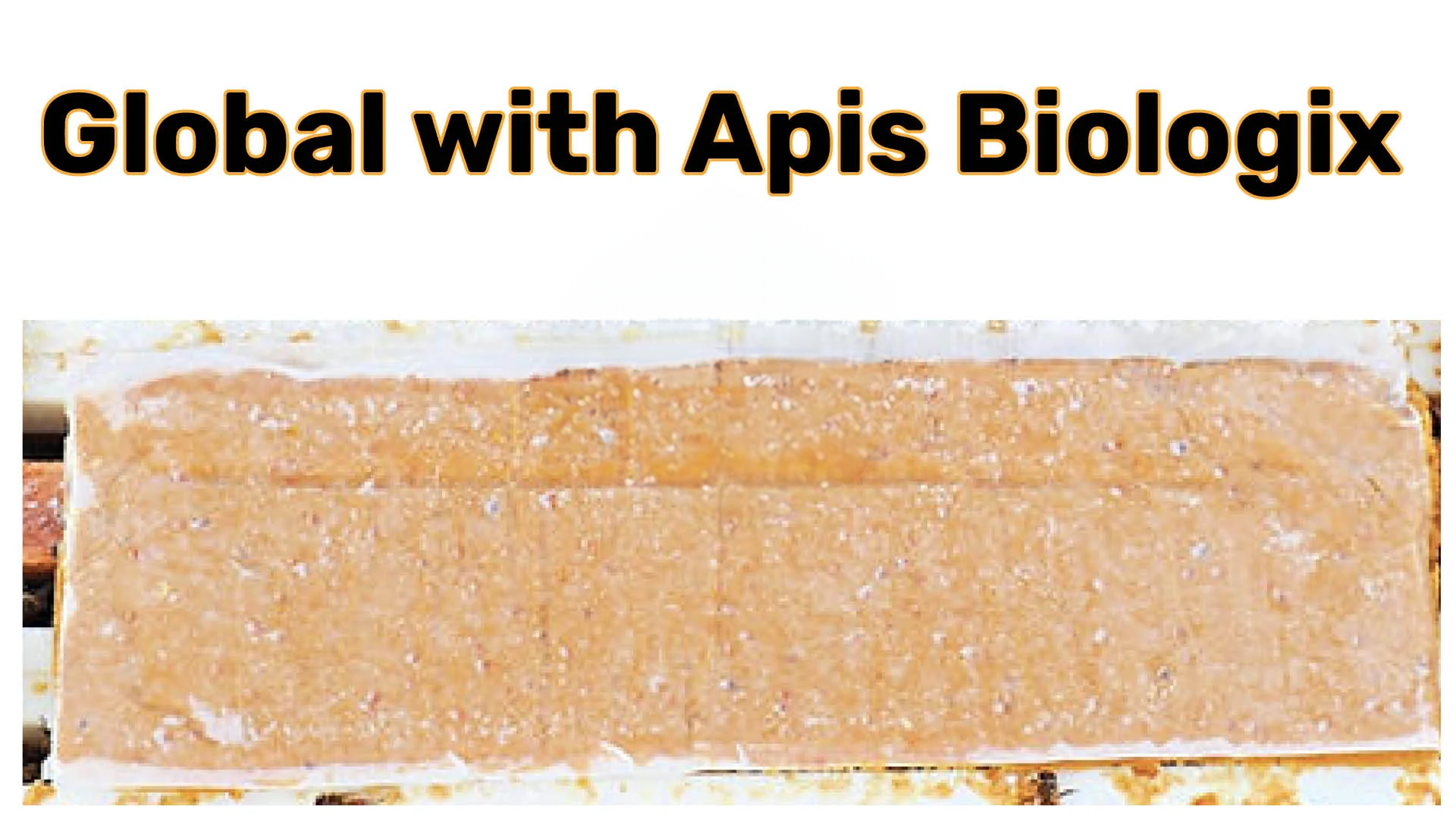 Global Pollen Patties | Apis-Bio Nutrition